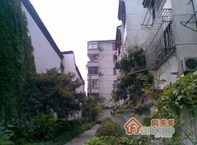 西江新村图片