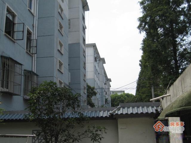盘溪新村图片