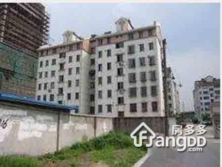南星花园图片