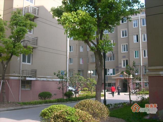 畅苑新村一区图片