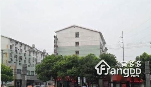 正大家园图片