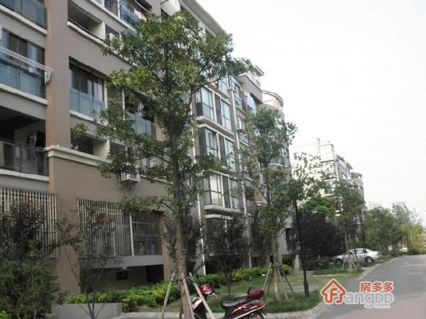 尼盛青年城图片