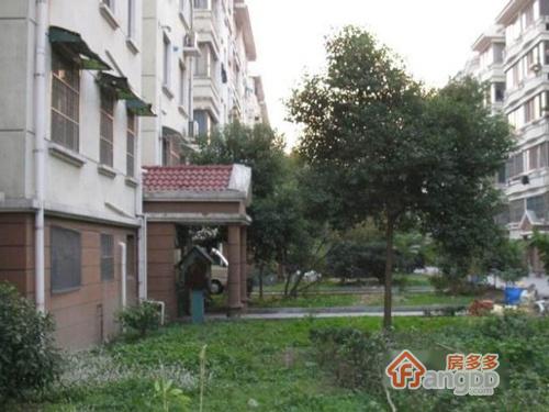 虎丘路128号图片