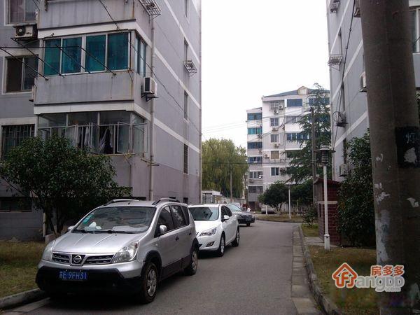 东港新村图片