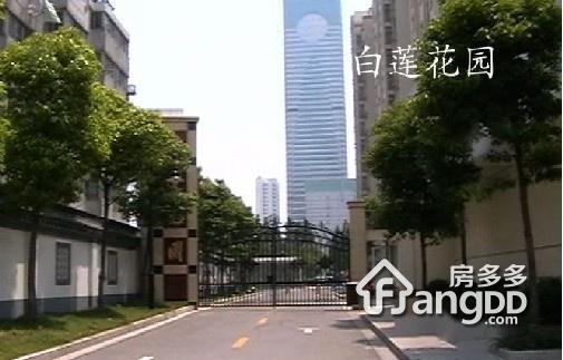 白莲花园图片