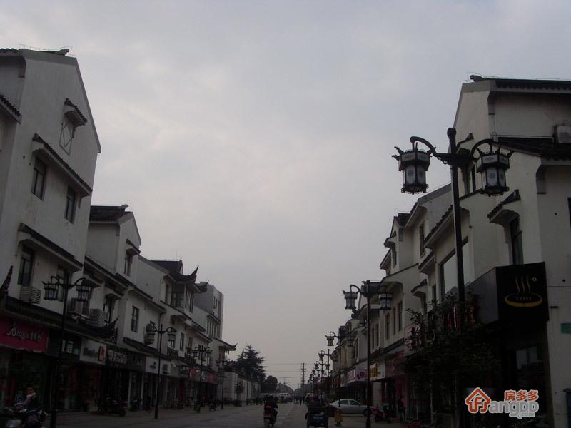 金藏海花园图片