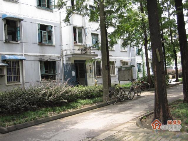 东环教师新村图片