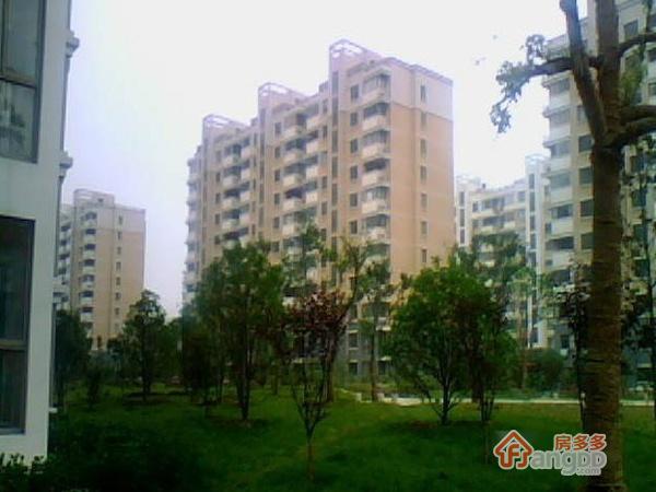 沁怡家园国际公馆图片
