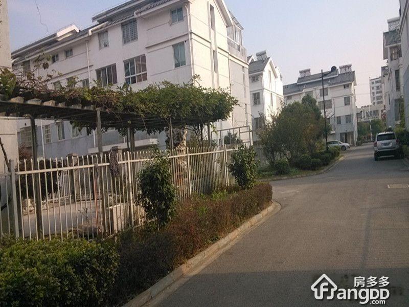 鸿福花苑图片