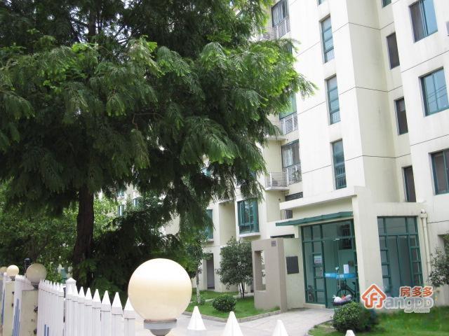 绿城花园图片