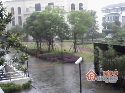 胥江花园图片