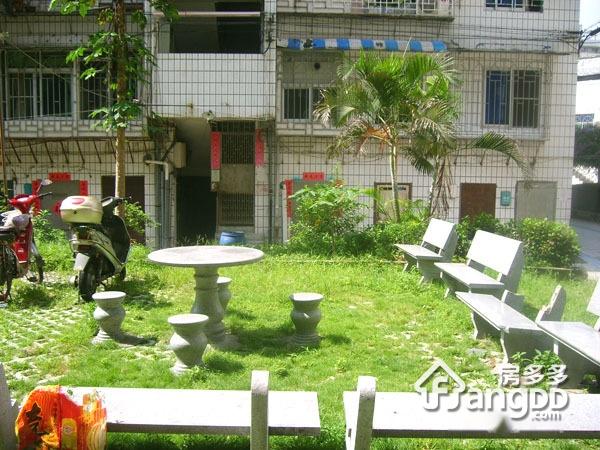 龙津花园小区图片