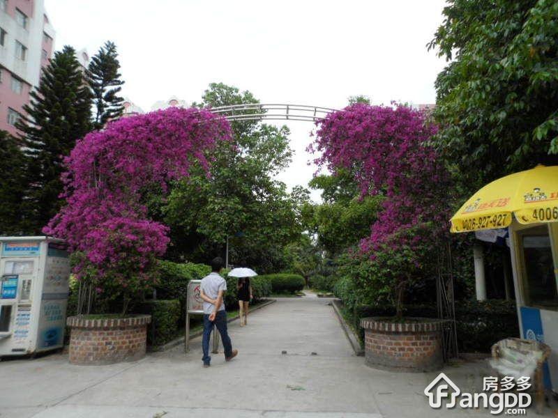 黄石花园图片