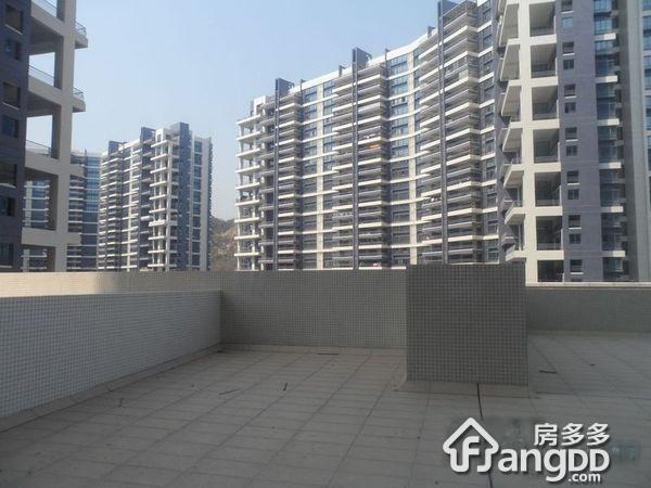 碧桂园凤凰城凤锦苑小区图片