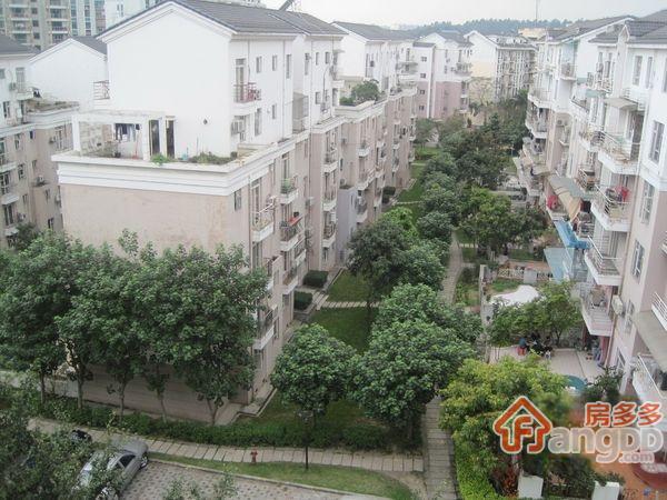新康花园小区图片