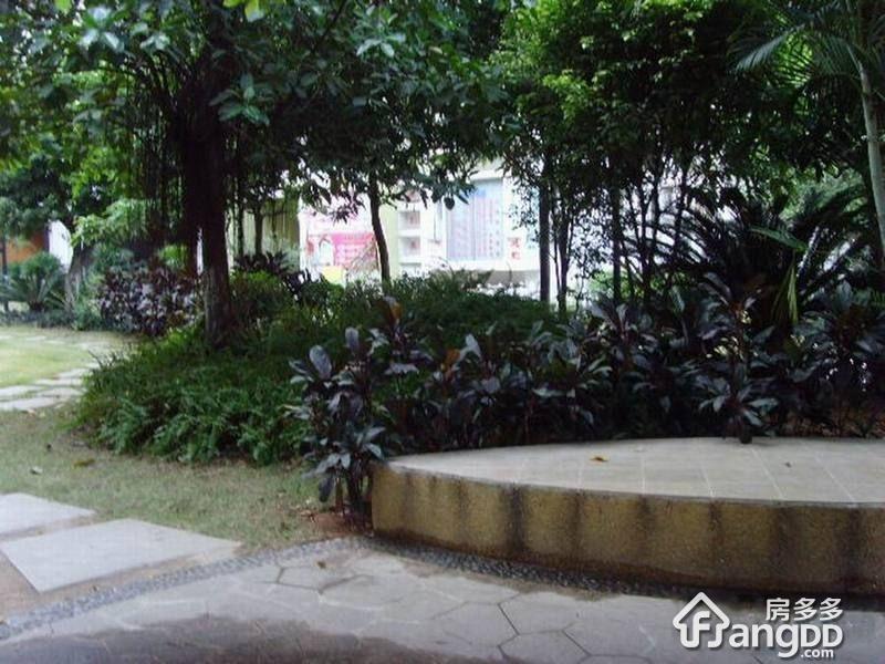 旭景家园小区图片