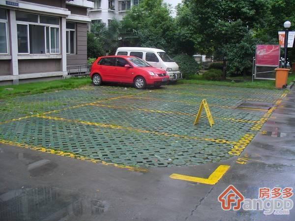 叶青随苑图片