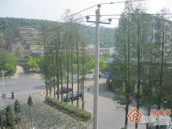 荷花塘小区图片