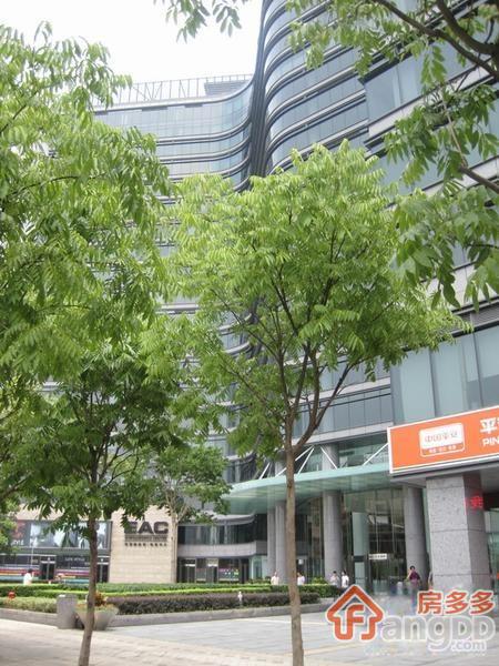 欧美中心图片