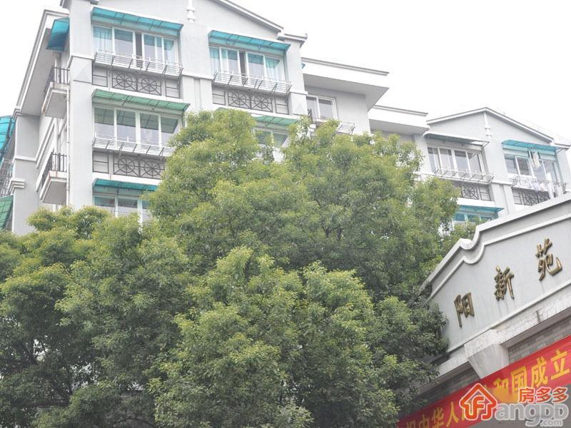 朝阳新苑小区图片
