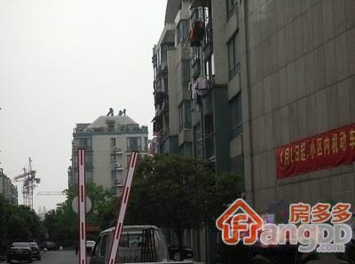 格之林花园图片