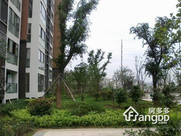 凤凰和熙一期小区图片