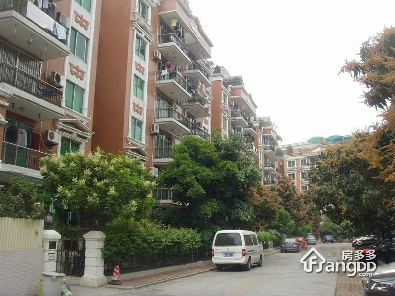 广州碧桂园美苑小区图片