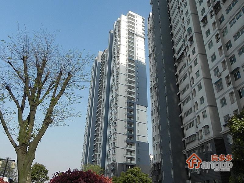 大江苑小区图片