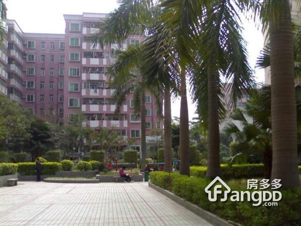 天鹅花苑小区图片
