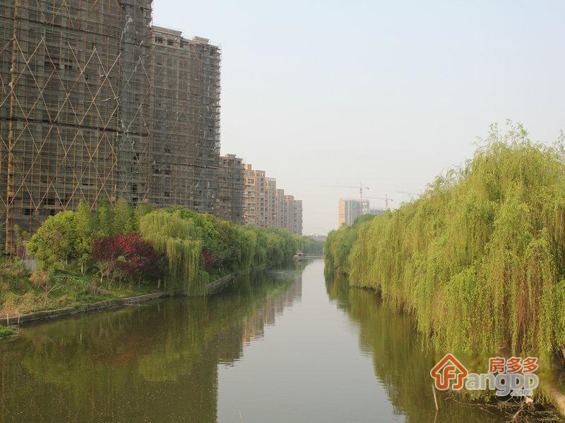赞成杭家图片