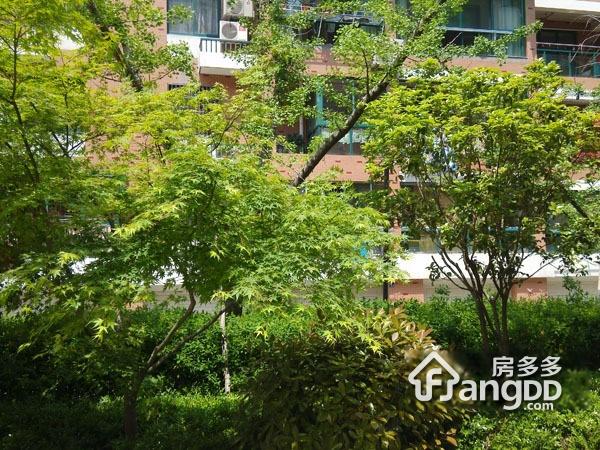 太平家园图片