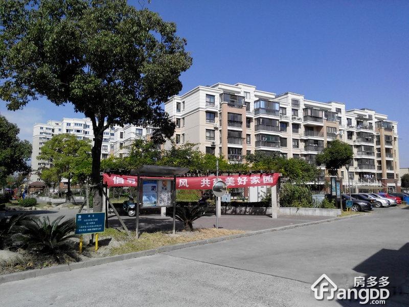 金荷雅苑小区图片