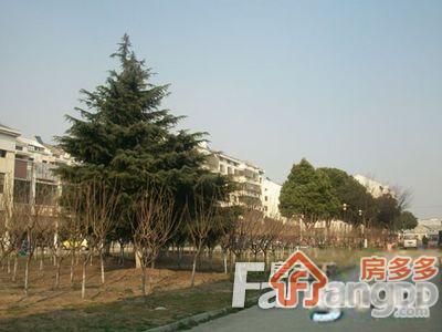 安元佳苑四区图片