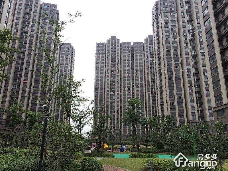 城林雅苑图片