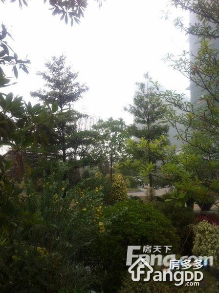 御华园小区图片