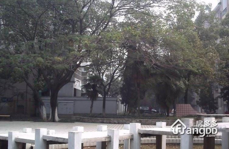 扬子十八村小区图片