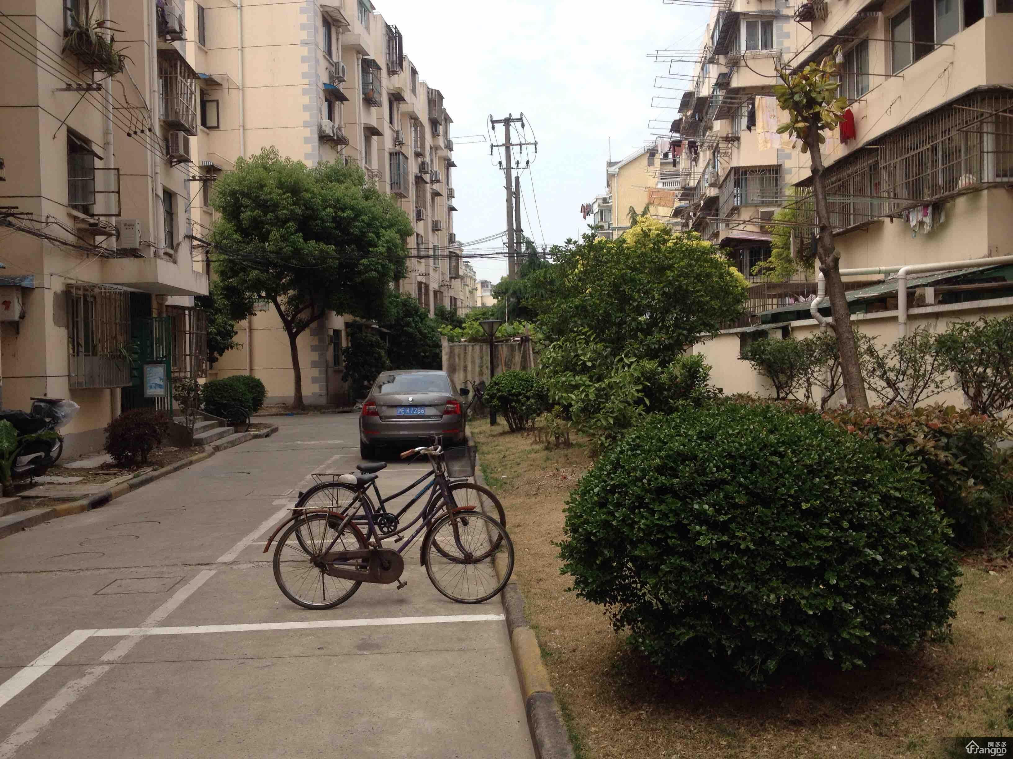 香樟苑(浦东)图片