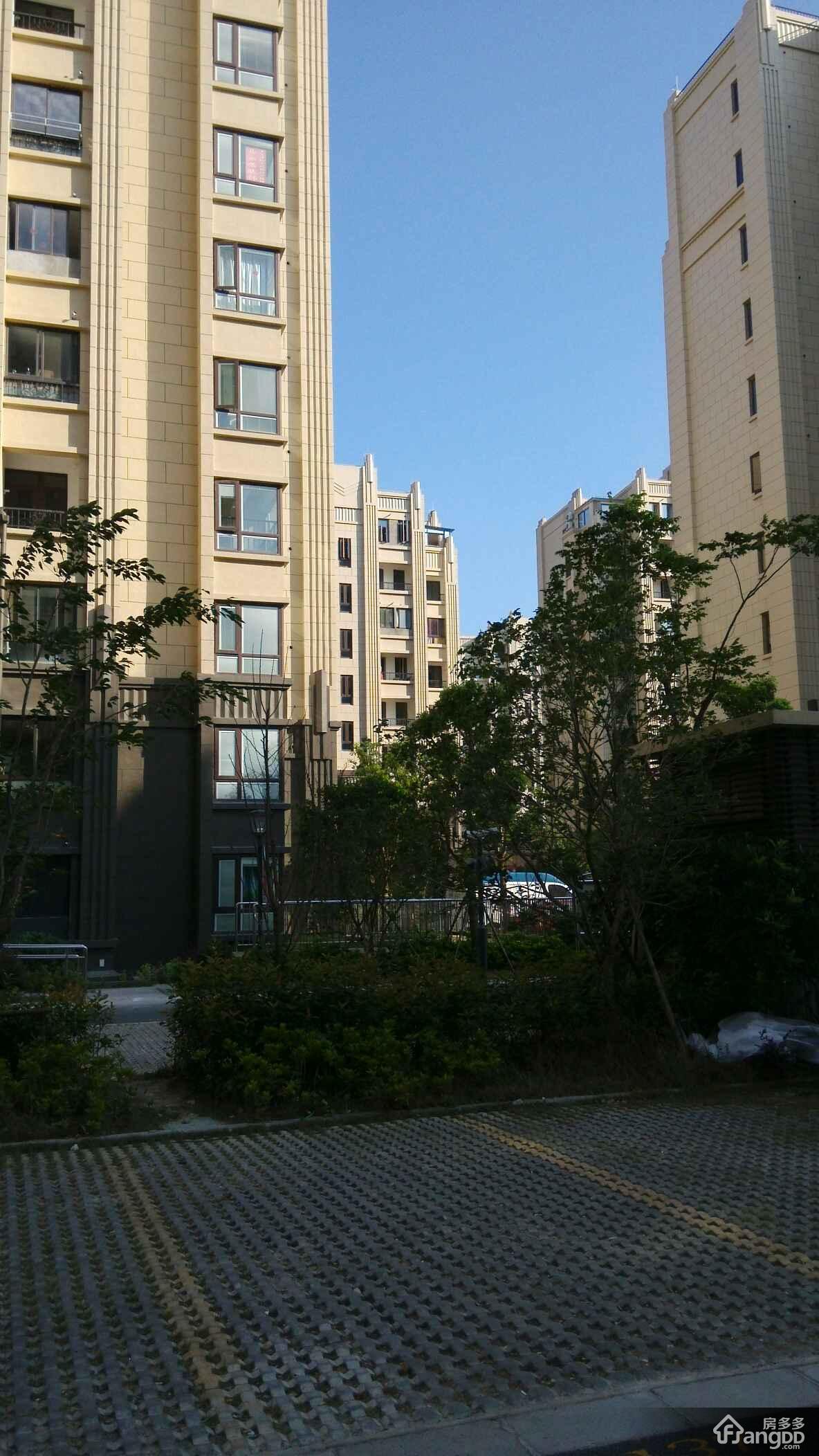 绿地金山名邸(公寓)小区图片