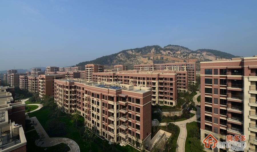 七贤郡图片