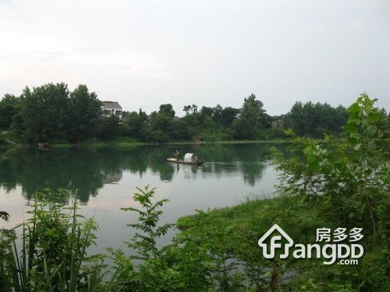 丁家桥图片