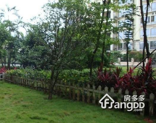 顺德碧桂园芷兰湾小区图片