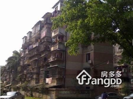 石化生活区小区图片