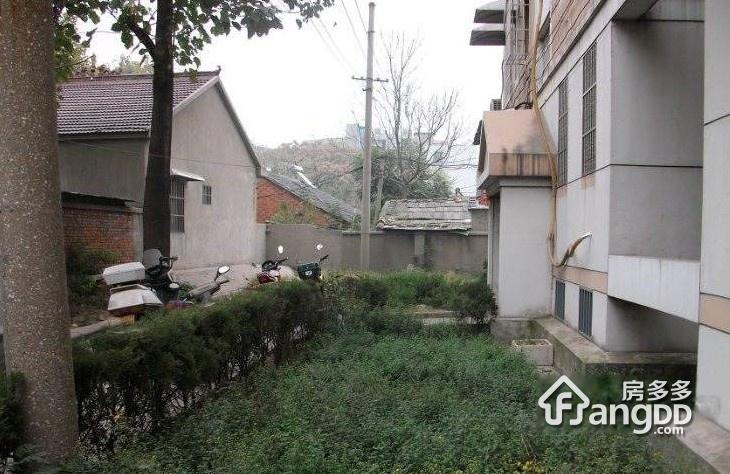 新庄西村图片