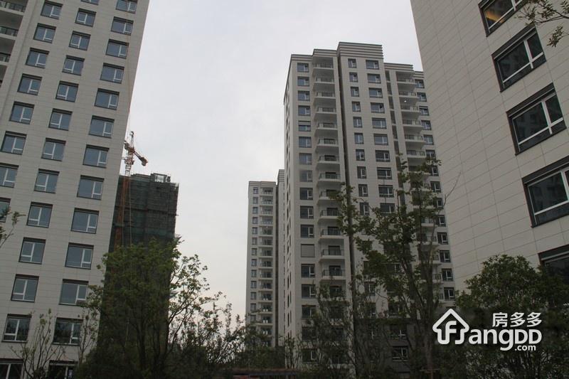 朗诗绿色街区图片