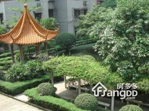 鹤景楼小区图片