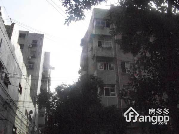 经典雅居图片