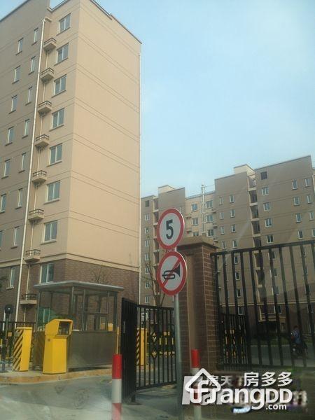 聚缘南庭图片