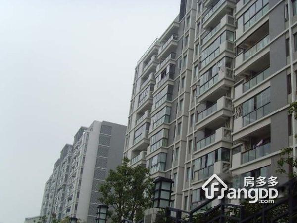 阳光美地图片