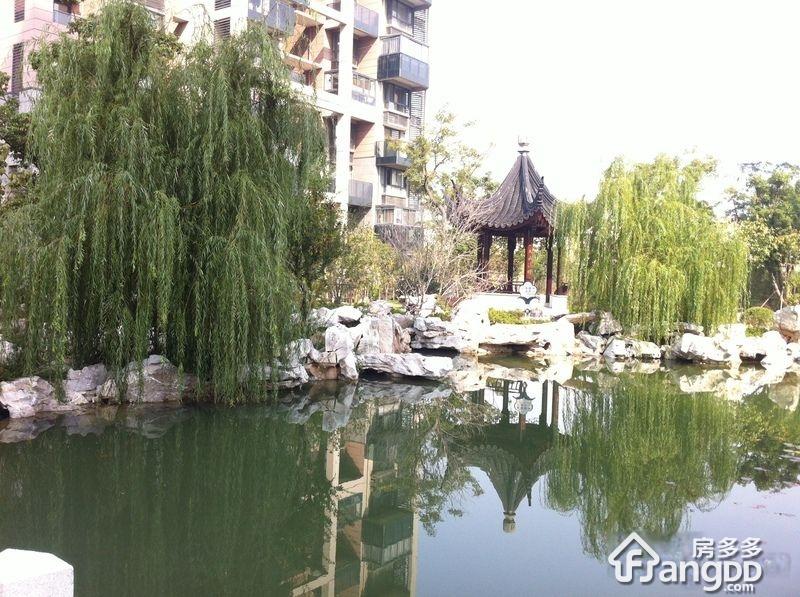 蝴蝶湾小区图片