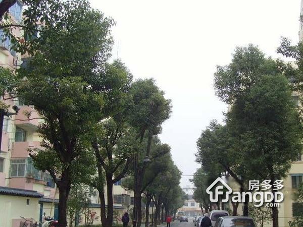 苏锦二村小区图片